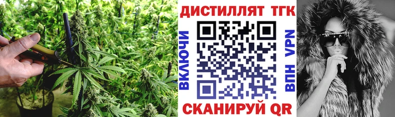 ТГК Wax  Купить где  Трубчевск 